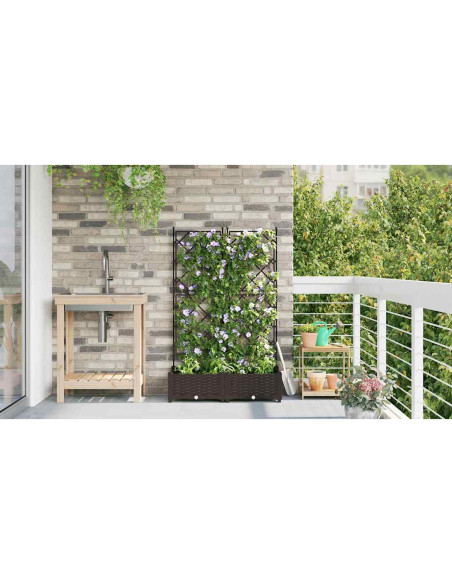 Vaso da giardino 2 pz Marrone 80 x 40 x 125,5 cm PP