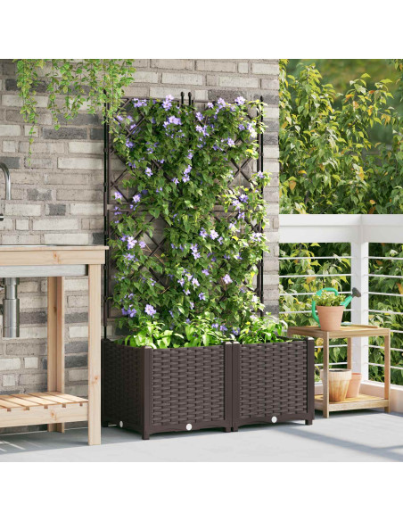 Vaso da giardino 2 pz Marrone 80 x 40 x 143 cm PP