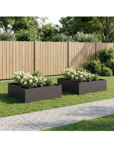 Vaso da giardino 2 pz Nero 100 x 100 x 30 cm