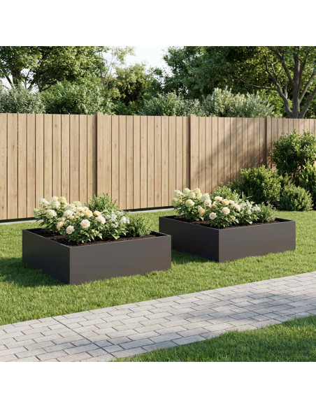 Vaso da giardino 2 pz Nero 100 x 100 x 30 cm