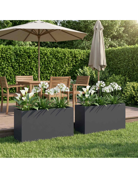 Vaso da giardino 2 pz Antracite 100 x 30 x 50 cm