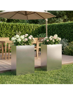 Vaso da giardino 2 pz Argento 50 x 30 x 75 cm Acciaio Inox