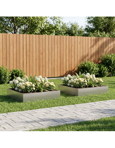 Vaso da giardino 2 pz Argento 100 x 100 x 20 cm Acciaio Inox