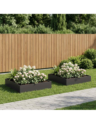 Vaso da giardino 2 pz Nero 100 x 100 x 20 cm