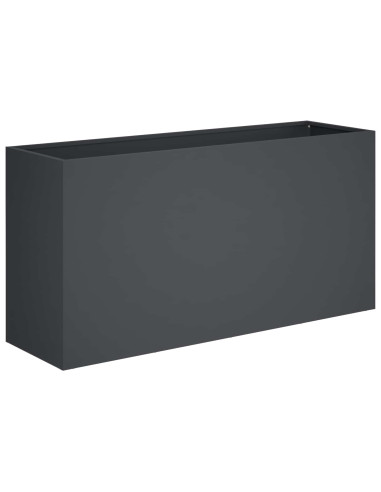 Vaso da giardino 2 pz Antracite 100 x 30 x 50 cm