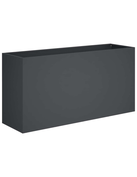 Vaso da giardino 2 pz Antracite 100 x 30 x 50 cm