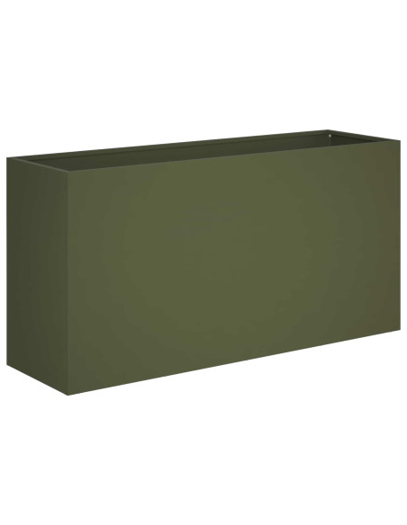 Vaso da giardino 2 pz Verde Oliva 100 x 30 x 40 cm