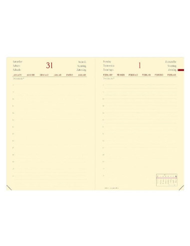 DAILY 21 PREST  ML SILK BORDEAUX