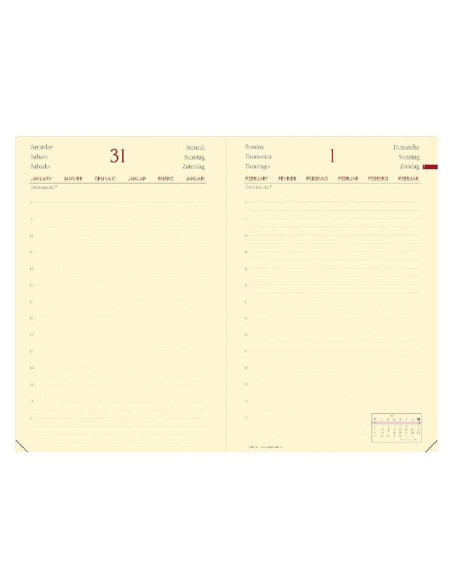 DAILY 21 PREST  ML SILK BORDEAUX