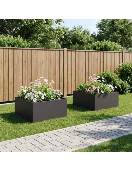 Vaso da giardino 2 pz Nero 60 x 60 x 40 cm