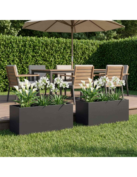 Vaso da giardino 2 pz Nero 80 x 40 x 40 cm