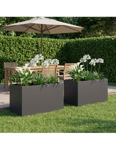 Vaso da giardino 2 pz Nero 100 x 50 x 50 cm