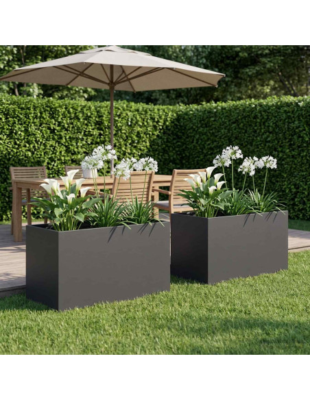 Vaso da giardino 2 pz Nero 100 x 50 x 50 cm