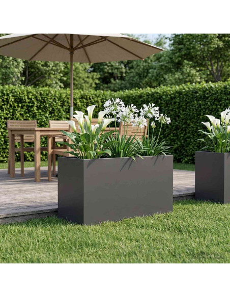 Vaso da giardino Nero 100 x 50 x 50 cm