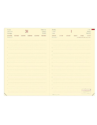 DAILY 24 PREST  ML SILK NERO