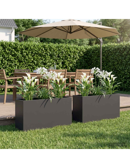 Vaso da giardino 2 pz Nero 100 x 30 x 50 cm