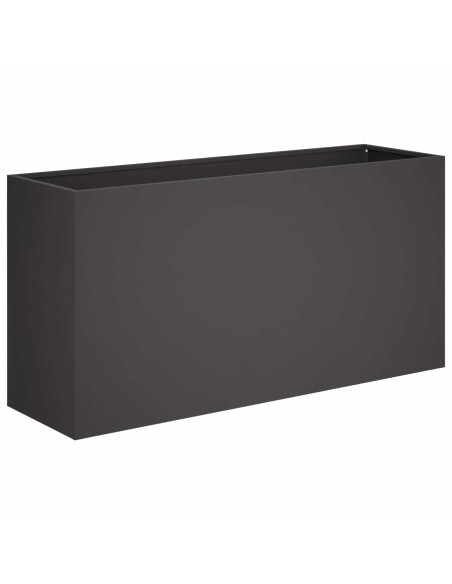 Vaso da giardino 2 pz Nero 100 x 30 x 50 cm