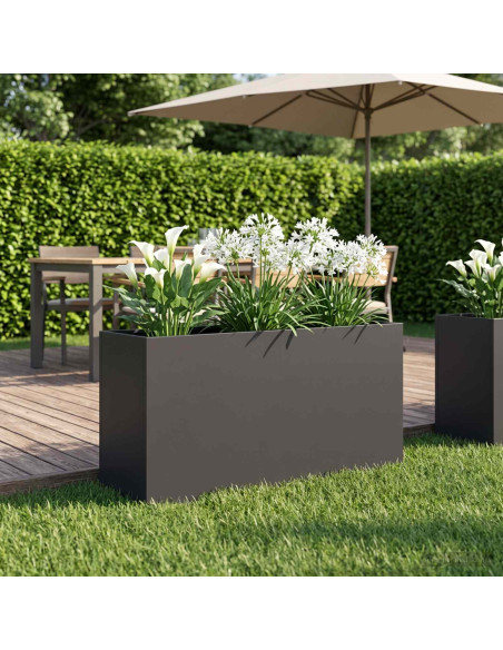 Vaso da giardino Nero 100 x 30 x 50 cm