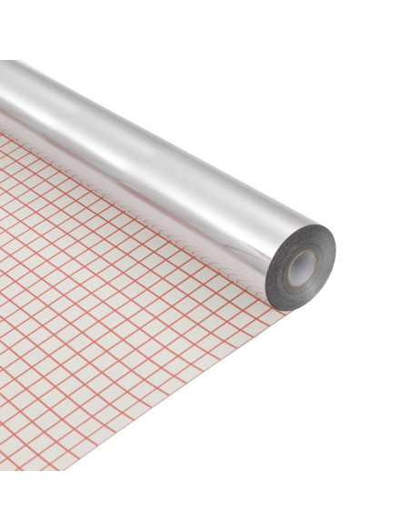 Film Adesivo per Specchi 60 x 100 cm 2 pz Argento PET
