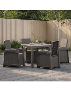 Set da Pranzo per Giardino 5 pz Grigio chiaro e Tortora PP