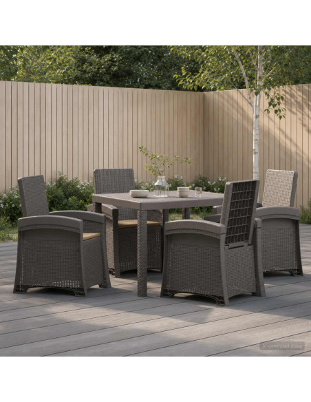 Set da Pranzo per Giardino 5 pz Grigio chiaro e Tortora PP