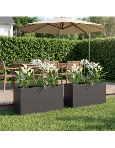 Vaso da giardino 2 pz Nero 100 x 30 x 40 cm