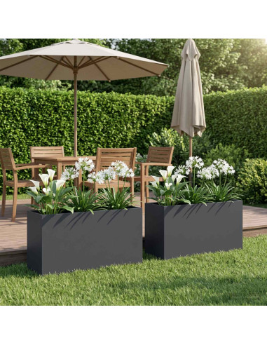 Vaso da giardino 2 pz Antracite 100 x 30 x 40 cm