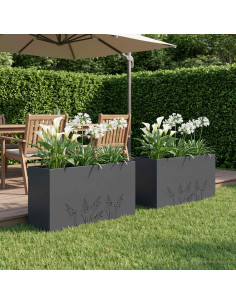 Vaso da giardino 2 pz Antracite 100 x 30 x 49 cm
