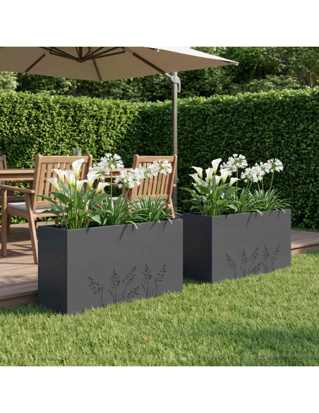 Vaso da giardino 2 pz Antracite 100 x 30 x 49 cm