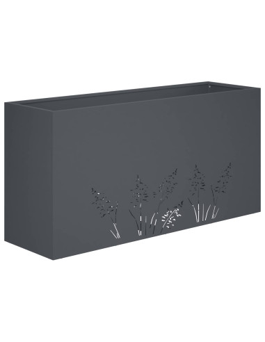 Vaso da giardino 2 pz Antracite 100 x 30 x 49 cm