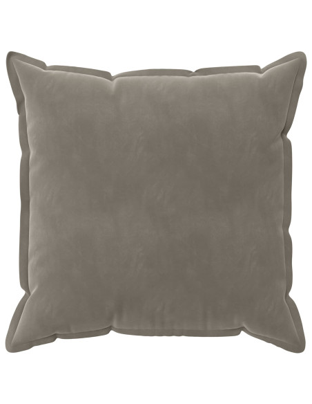 Federa 2 pcs HOUTEN Grigio Chiaro 80 x 80 cm Velluto