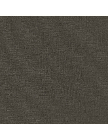 Cuscino per Sedia Papasan VIANEN 100% Poliestere Antracite