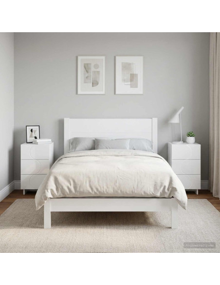 Armadio da Notte 2 pcs Bianco Lucido 33,5 x 34,5 x 60 cm