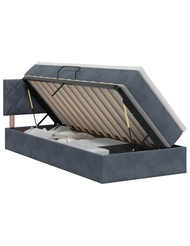 Letto con Contenitore Grigio Scuro 100 x 200 cm Velluto