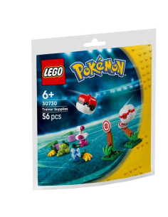 POKÉMON 30730