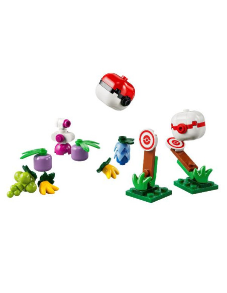 POKÉMON 30730