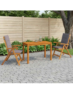 Set da pranzo da giardino 3 pezzi 3 pz Naturale