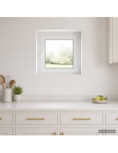 Finestra per Soffitta RISOR 55 x 55 cm PVC e Vetro
