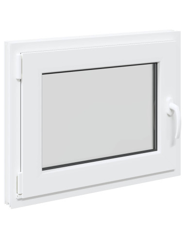 Finestra per Soffitta RISOR 50 x 55 cm PVC e Vetro