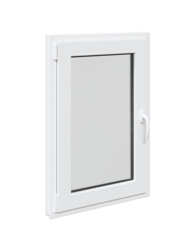 Finestra per Soffitta RISOR 50 x 100 cm PVC e Vetro