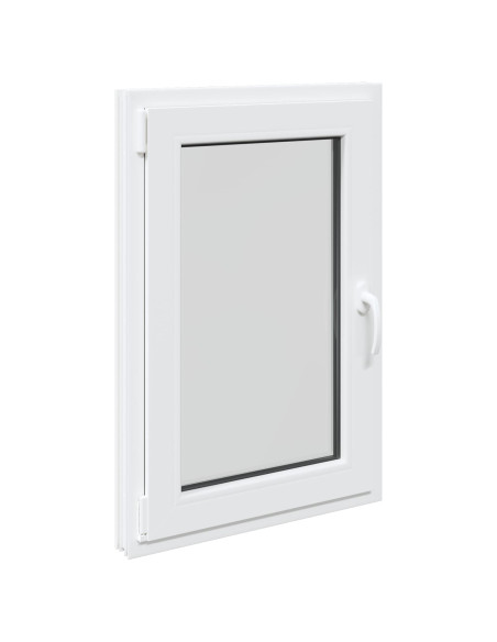 Finestra per Soffitta RISOR 50 x 100 cm PVC e Vetro
