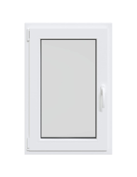 Finestra per Soffitta RISOR 50 x 100 cm PVC e Vetro