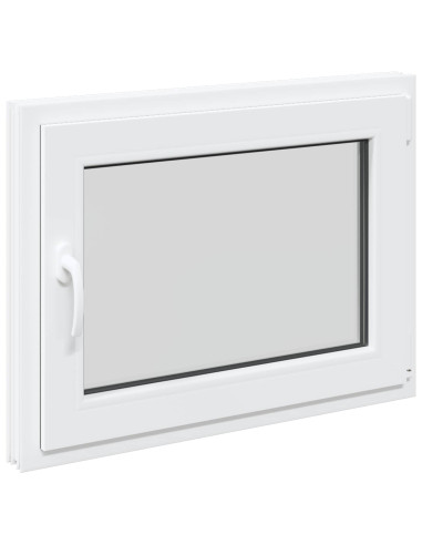 Finestra per Soffitta RISOR 50 x 55 cm PVC e Vetro