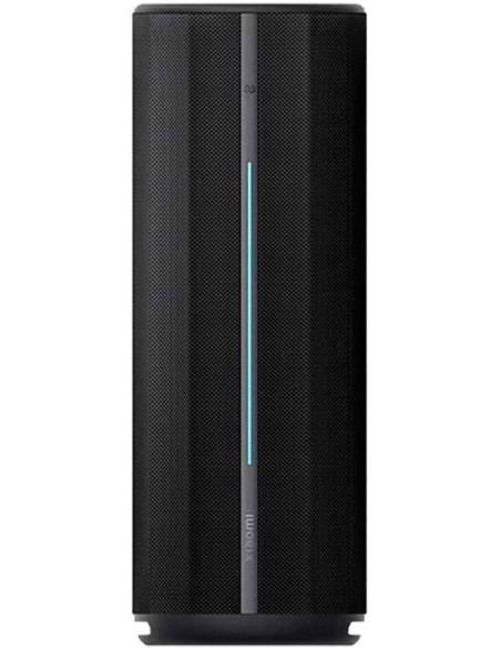Xiaomi Outdoor Speaker Bluetooth 40W Black