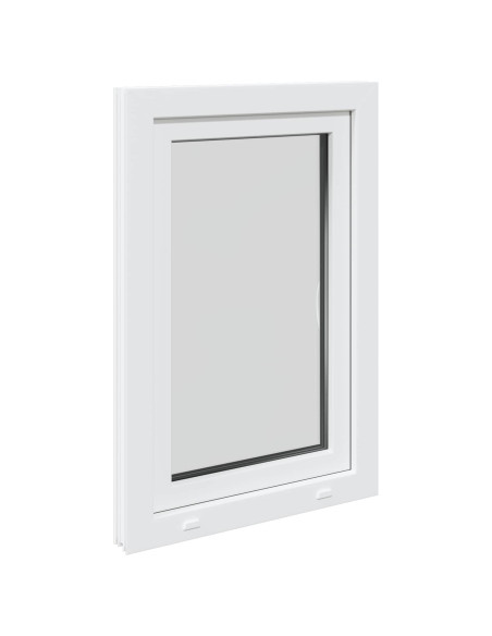 Finestra per Soffitta RISOR 50 x 100 cm PVC e Vetro