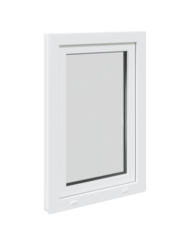 Finestra per Soffitta RISOR 50 x 100 cm PVC e Vetro