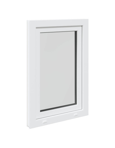 Finestra per Soffitta RISOR 50 x 100 cm PVC e Vetro