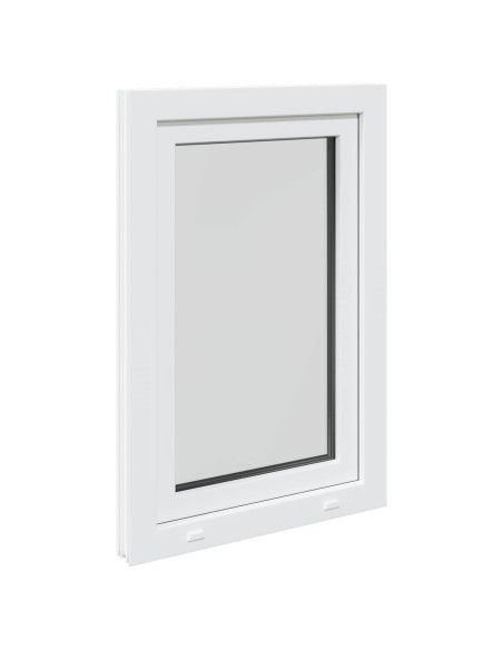 Finestra per Soffitta RISOR 50 x 100 cm PVC e Vetro