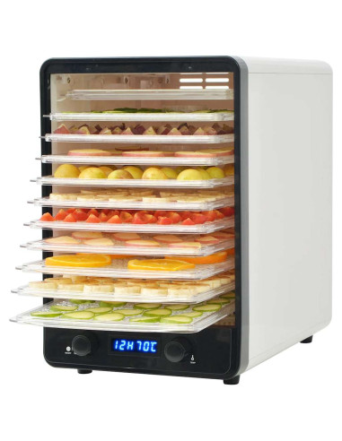 Disidratatore Alimentare con 10 Vassoi 550 W Bianco