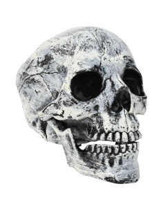 Teschio di Halloween SPOOKA 2 pz Bianco 12 x 15 x 17,5 cm 2